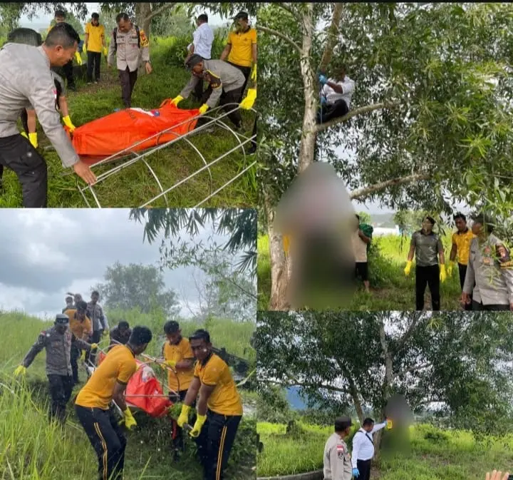 Dilaporkan Hilang, Pria Pedagang Sayur dan sembako di Bengkayang Ditemukan Tewas Tergantung: Polisi Lakukan Penyelidikan