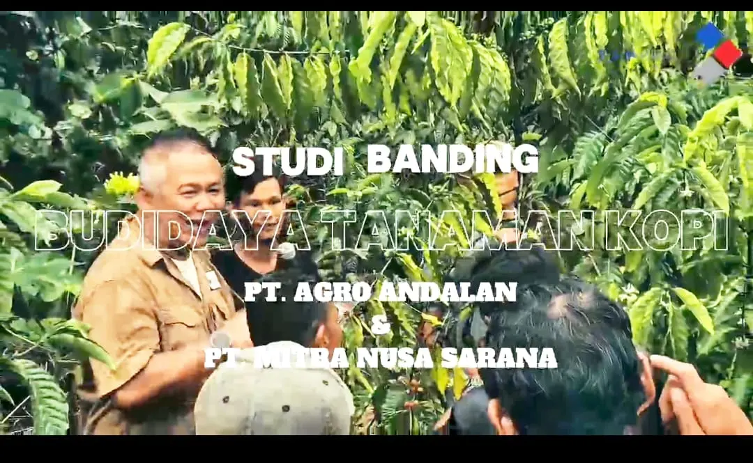 PT.Agro Andalan Bawa Tiga Kades Ikuti Studi Banding Ke Desa Ansok, Belajar Tanam Kopi Untuk Perkuat Ekonomi