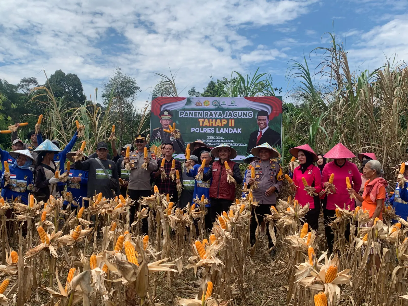 Kolaborasi Polisi dan Petani, Panen Raya Jagung 10 ton di Desa Tunang