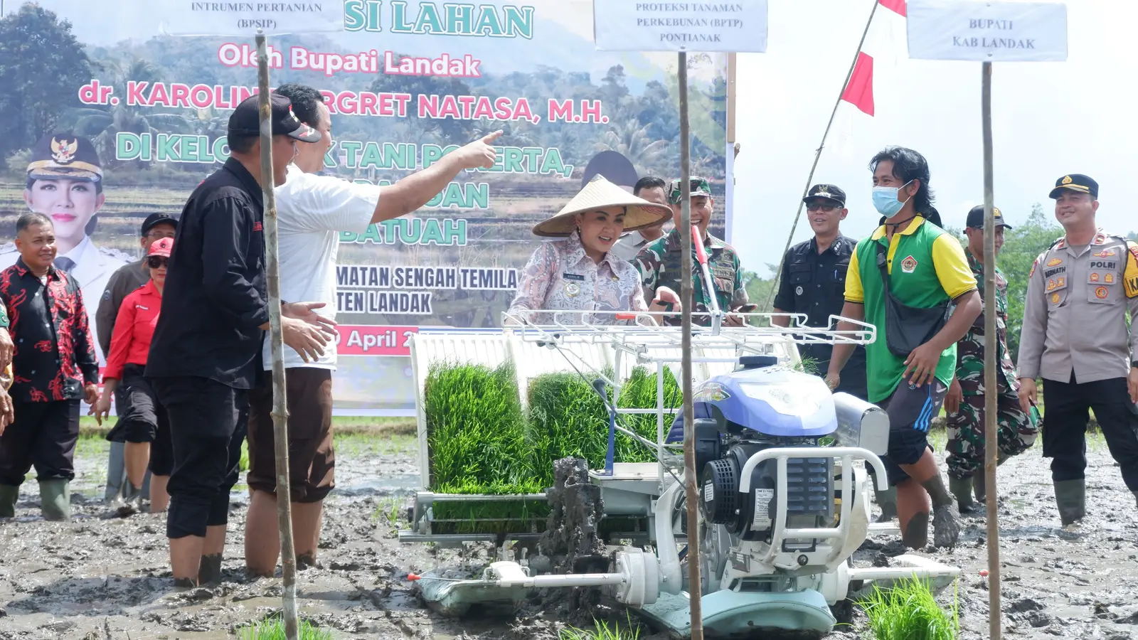 Bupati Karolin Tanam Perdana Progam Brigade Pangan